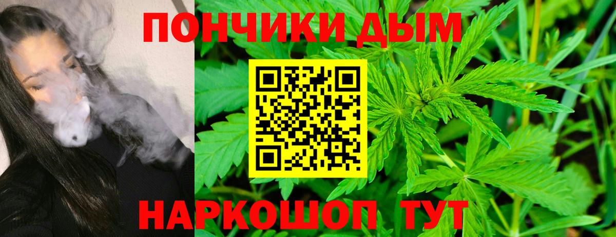МАРИХУАНА тримм  Марихуана SATIVA & INDICA  Великий Новгород  МАРИХУАНА SATIVA & INDICA  Вход с VPN 